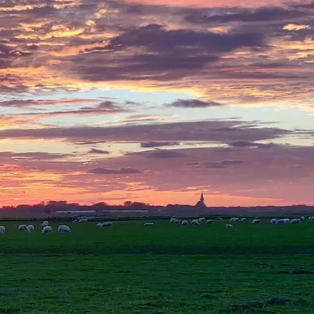 In Texel Near Dunes And Water * De Cocksdorp (Texel)
