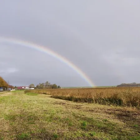 Prázdninový dům In Texel Near Dunes And Water *
