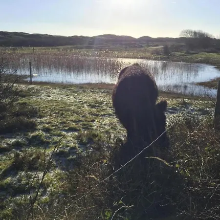 In Texel Near Dunes And Water De Cocksdorp (Texel)