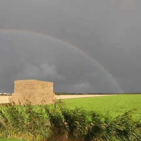 In Texel Near Dunes And Water Prázdninový dům *