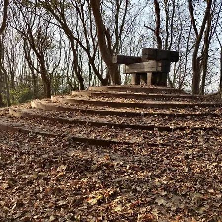 In Texel Near Dunes And Water * De Cocksdorp (Texel)