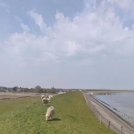 In Texel Near Dunes And Water Prázdninový dům *