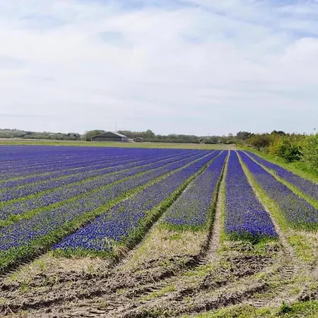 Prázdninový dům In Texel Near Dunes And Water De Cocksdorp (Texel)